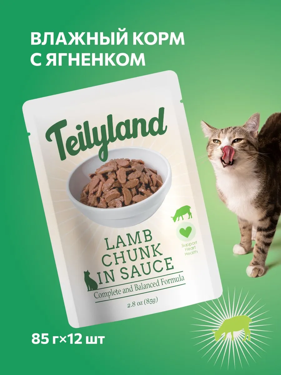 Главная 7433369414.webp