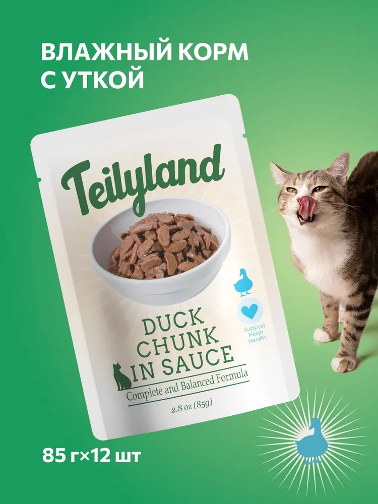 Главная 7433369725.webp